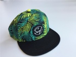 baseball cap