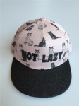 baseball cap